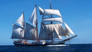 „Learn & Sail“ zur Hanse Sail in Rostock