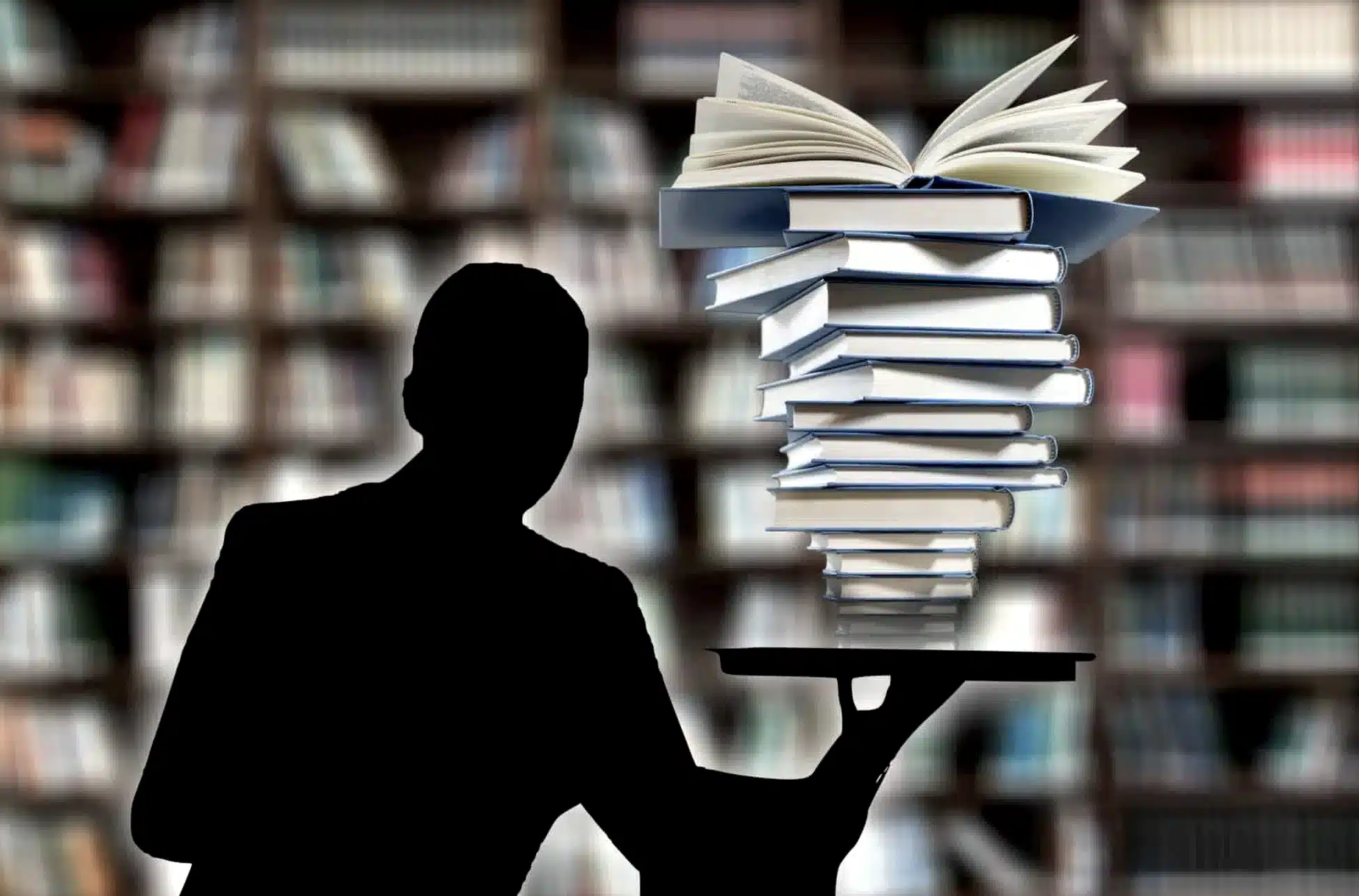 Silhouette mit Büchern